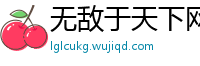 无敌于天下网